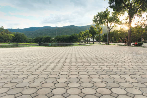 Reasons to Select Us for Your Driveway Paving Requirements in Tarboro, NC