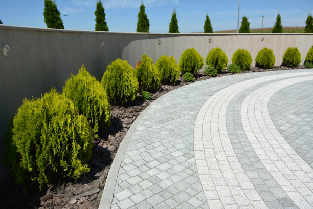 Best Concrete Paver Driveway  in Tarboro, NC