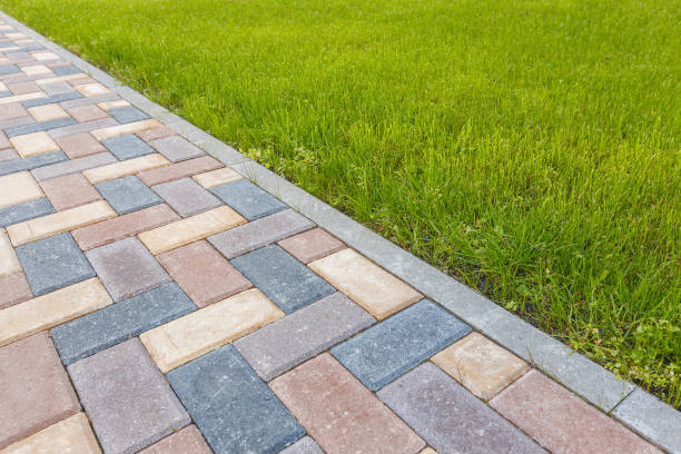 Best Concrete Paver Driveway  in Tarboro, NC